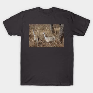 Michigan Sandhill Cranes T-Shirt
